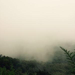 黑人性❌❌❌❌
