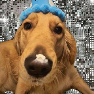 黑人性❌❌❌❌
