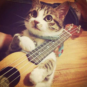 黑人性❌❌❌❌
